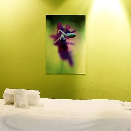 Quinta Vistas (adults Only) Hotel